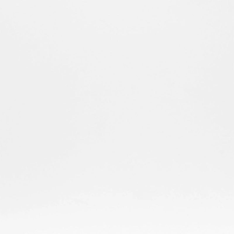 Scott Side Chair in White with Matte Brushed Gold Legs - Set of 2