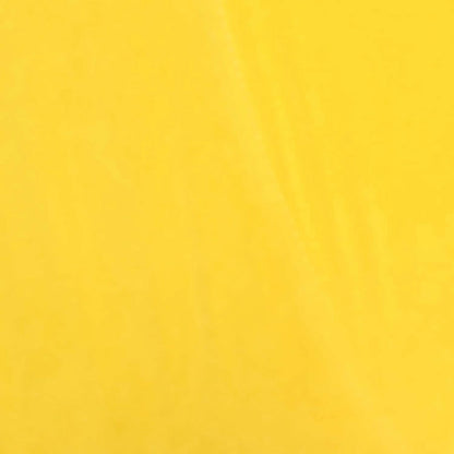 Marina Modern Velvet Accent Chair with Golden Legs Set of 2 by HULALA HOME