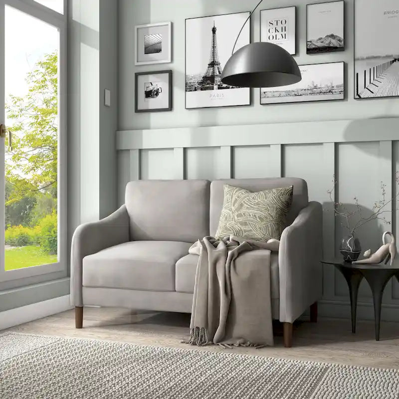 DH BASIC Modern 52-inch Velvet Upholstered Loveseat with Cushions